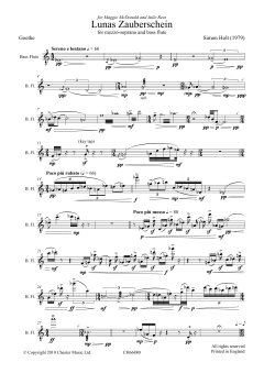 Lunas Zauberschein von Simon Holt (Download) 