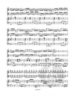 Konzert BWV 1043 von Johann Sebastian Bach 