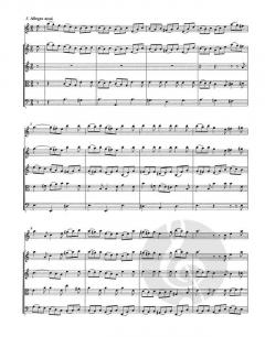 Konzert BWV 1041 (J.S. Bach) 