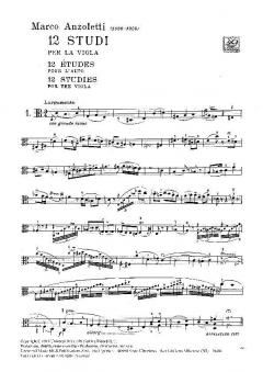 12 Studi per Viola von Marco Anzoletti im Alle Noten Shop kaufen