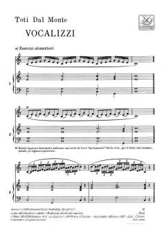 Vocalizzi 