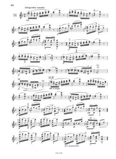 Studi e Capricci, op. 35 von Jacob Dont 