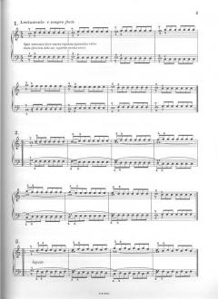 Tecnica Giornaliera Del Pianista Parte I E II von Ettore Pozzoli 