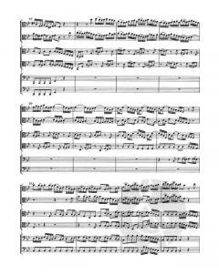 Brandenburgisches Konzert Nr. 6 BWV 1051 (J.S. Bach) 