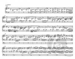 Orgelwerke Band 2 von Heinrich Scheidemann im Alle Noten Shop kaufen