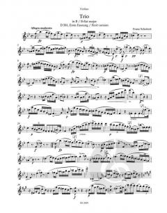 Sämtliche Streichtrios von Franz Schubert (Download) 