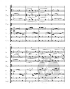 Sinfonie Nr. 8 D 944 von Franz Schubert 