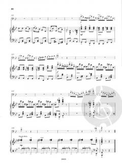 Euphonium Concerto von Karl Jenkins 