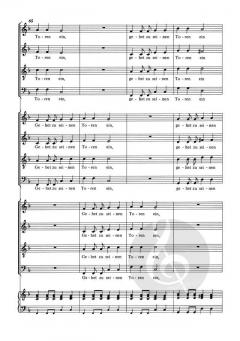 Jauchzet dem Herren, alle Welt SWV deest von Heinrich Schütz (Download) 