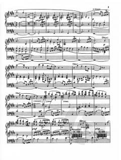 Siegfried-Idyll von Richard Wagner 