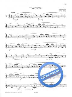 30 charakteristische Etüden von Michael Schmidt 