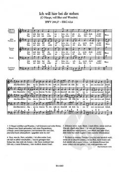 Passionschoräle aus der Matthäus-Passion BWV 244 (J.S. Bach) 