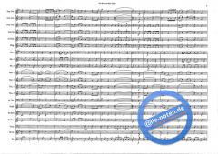 The Red And Blue Shield (Hans J. Honegger) 