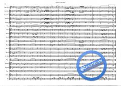 The Red And Blue Shield (Hans J. Honegger) 