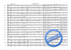 Peer Gynt Suite op. 46 (Edvard Grieg) 