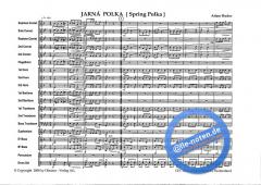 Jarna Polka von Adam Hudec 