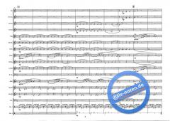 The Young Amadeus (Wolfgang Amadeus Mozart) 