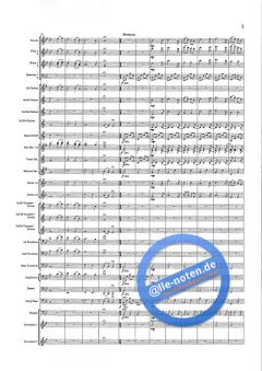 Ode an die Musik (Andreas Spörri) 