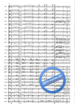 The Red And Blue Shield (Hans J. Honegger) 