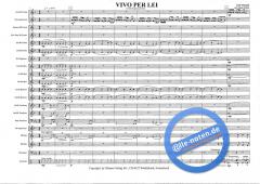 Vivo Per Lei (Valerio Zelli) 