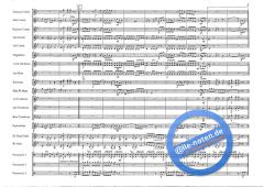 Basso Brazilio (Roy Newsome) 