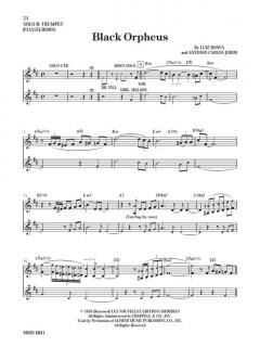 Standards for Trumpet Vol. 1 von Bob Zottola im Alle Noten Shop kaufen