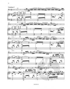 Konzertstück für Fagott und Orchester op. 2 (Franz Berwald) 