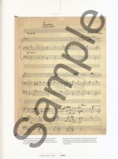 Orchestral Works 2 von Carl Nielsen 