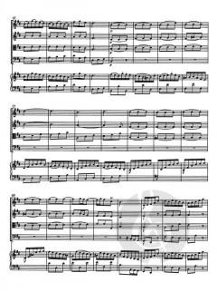 Konzerte für Cembalo BWV 1052-1059 von Johann Sebastian Bach 