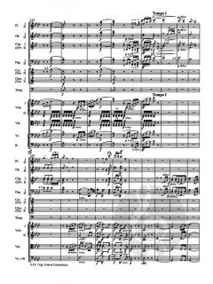 Symphonie Nr. 5 op. 67 von Ludwig van Beethoven 