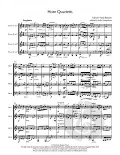 Divertimento von Francis Baines für Holzbläser Trio im Alle Noten Shop kaufen