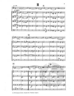 Concertino For Flute & Strings (Alan Ridout) 