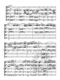 Konzert für Flöte und Streicher (Luigi Boccherini) 