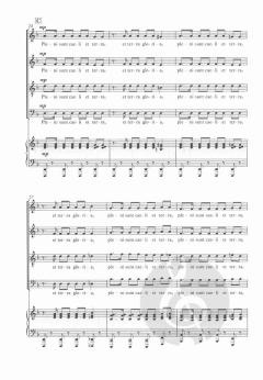 The Armed Man: A Mass For Peace (Karl Jenkins) 