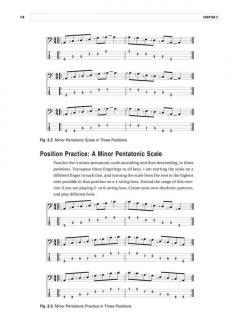 Anthony Vitti: Funk Bass Fills (Anthony Vitti) 