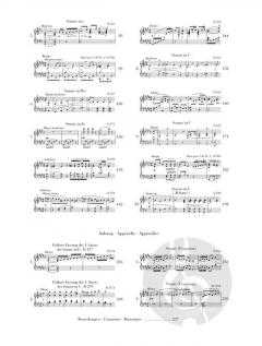 Klaviersonaten Band 2 von Franz Schubert im Alle Noten Shop kaufen - HN149