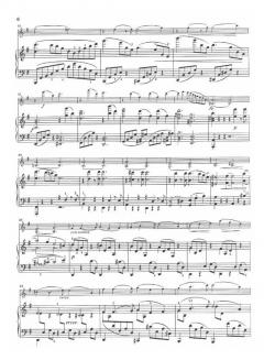 Sonaten für Klavier und Violine von Johannes Brahms im Alle Noten Shop kaufen - HN194