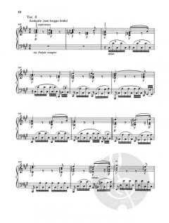 Schumann-Variationen op. 9 von Johannes Brahms 