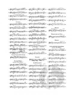 Sämtliche Tänze 1 von Franz Schubert 