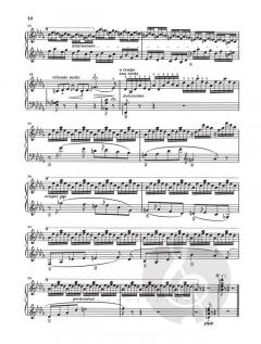 2 Konzertetüden von Franz Liszt 