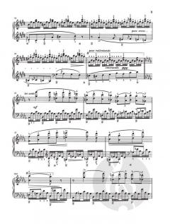 2 Konzertetüden von Franz Liszt 