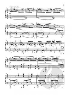 Klaviersonate e-moll op. 7 von Edvard Grieg im Alle Noten Shop kaufen