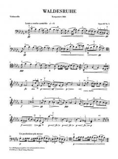 Waldesruhe op. 68/5 von Antonín Dvorák für Violoncello und Klavier im Alle Noten Shop kaufen