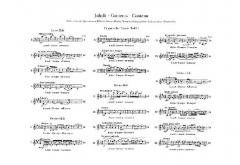 Ungarische Tänze 1-21 von Johannes Brahms 
