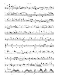 Konzert für Violoncello und Orchester Nr. 1 a-moll op. 33 von Camille Saint-Saëns im Alle Noten Shop kaufen