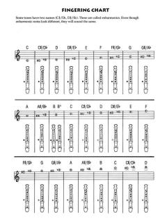 Kids' Fun Songs 