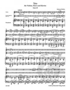 Trio op. 40 von Johannes Brahms (Download) 