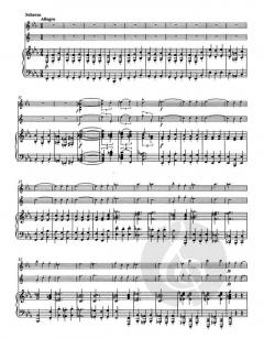 Trio op. 40 von Johannes Brahms (Download) 