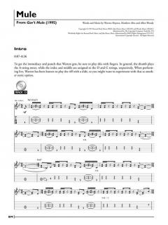 Warren Haynes Legendary Licks von Warren Haynes 
