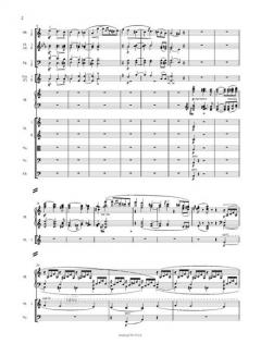 Klavierkonzert a-moll op. 54 von Robert Schumann 